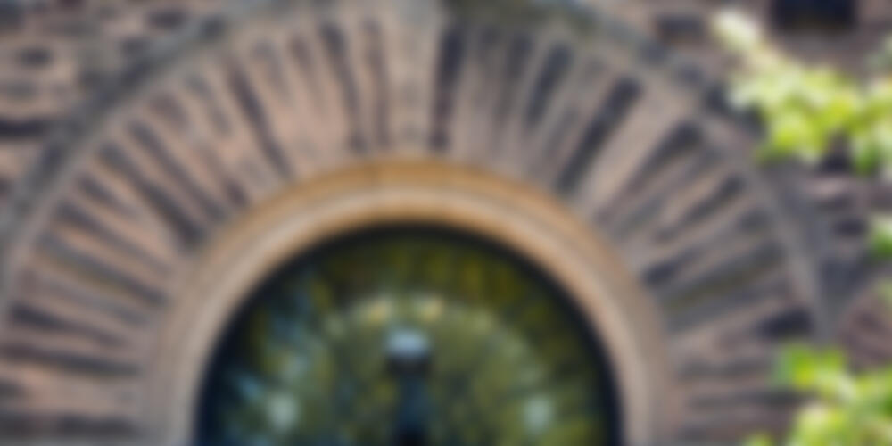 The building stones that compose the outside walls of Altgeld Hall. 
